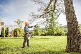 Best Lawn Maintenance Plans  in Columbia, IL